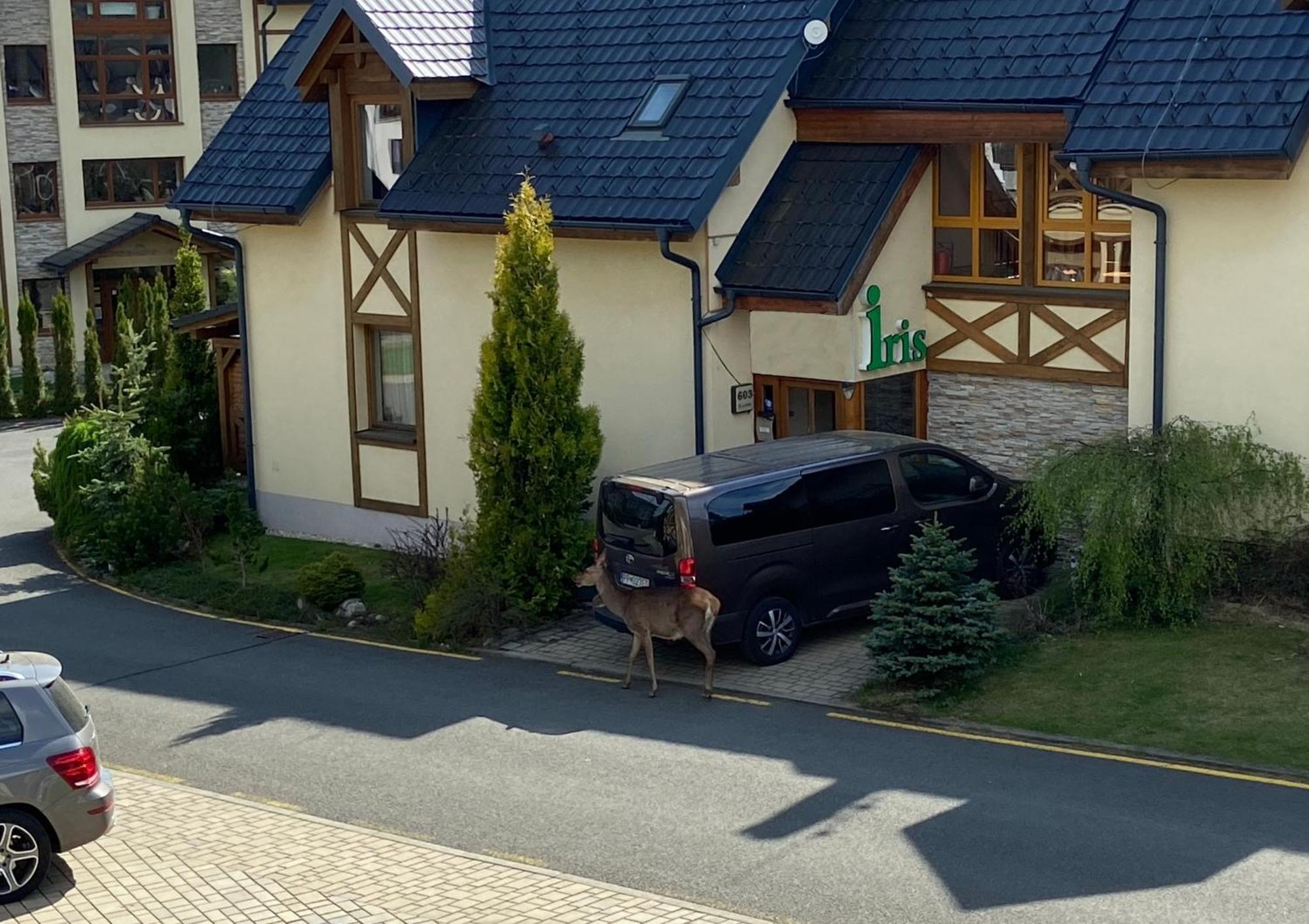 Apartments Iris Stará Lesná エクステリア 写真